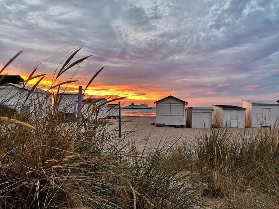Appart 4 Pers Plage Vue Mer Calais Exteriör bild